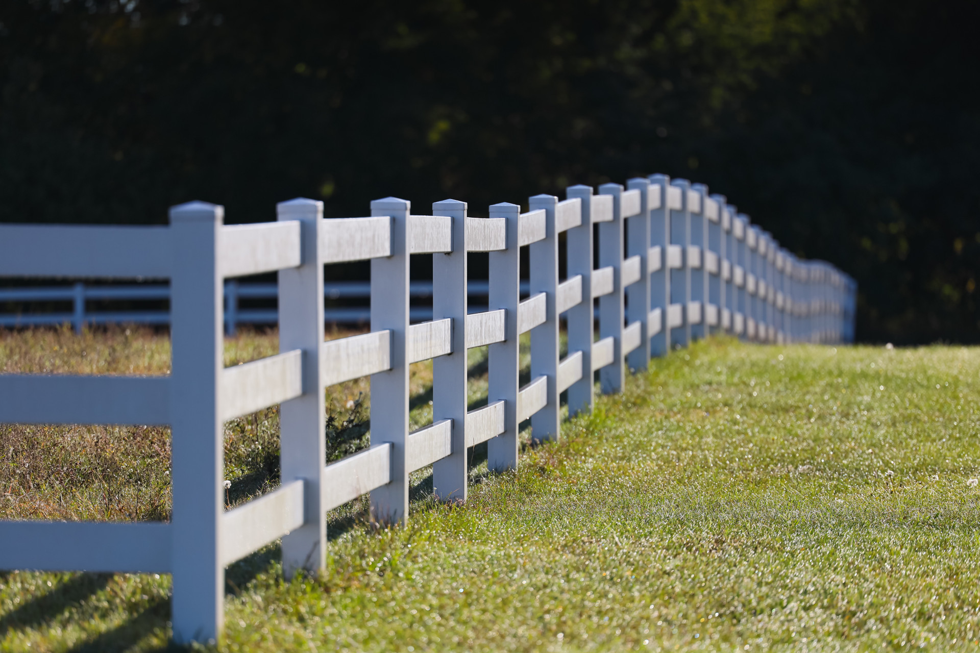 Custom Fencing